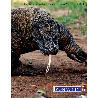 IM-Cat2019-WebNews&eStore